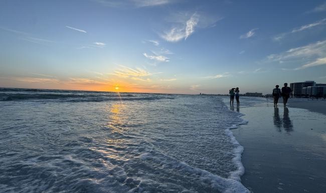a group of people walking on a beach