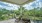 a large spacious balcony with trees
